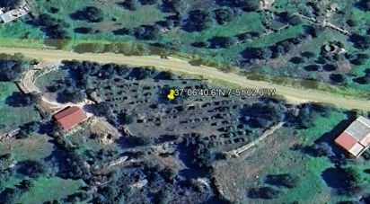 Terrain agricole à Conceição e Estoi de 3 840 m²