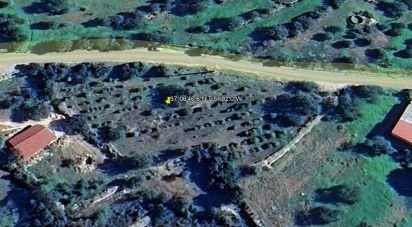 Terrain agricole à Conceição e Estoi de 3 840 m²