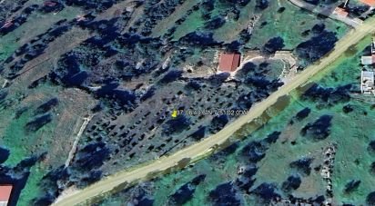 Terrain agricole à Conceição e Estoi de 3 840 m²