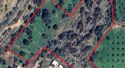 Terrain agricole à Conceição e Estoi de 12 480 m²