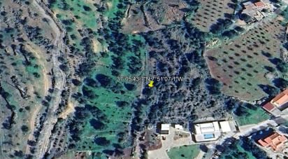 Terrain agricole à Conceição e Estoi de 12 480 m²