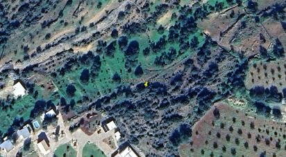 Terrain agricole à Conceição e Estoi de 12 480 m²