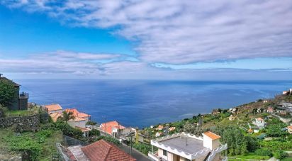 House T3 in Ribeira Brava of 241 m²