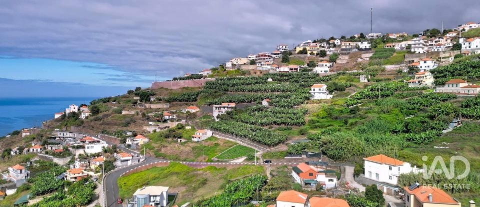 Moradia T3 em Ribeira Brava de 241 m²