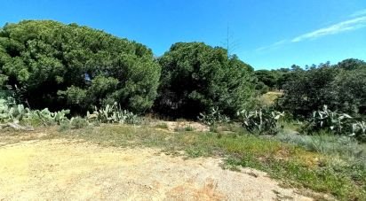 Terrain à Luz de Tavira e Santo Estêvão de 1 530 m²