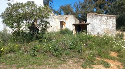 Terrain à Luz de Tavira e Santo Estêvão de 1 530 m²