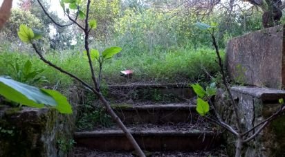 Maison T3 à Luz de Tavira e Santo Estêvão de 181 m²