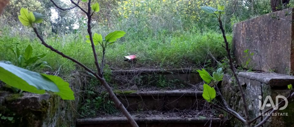 Moradia T3 em Luz de Tavira e Santo Estêvão de 181 m²