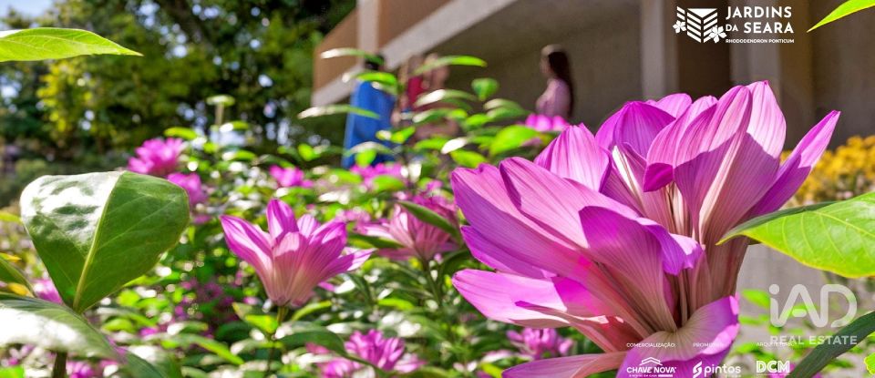 Apartamento T2 em Oliveira do Douro de 81 m²