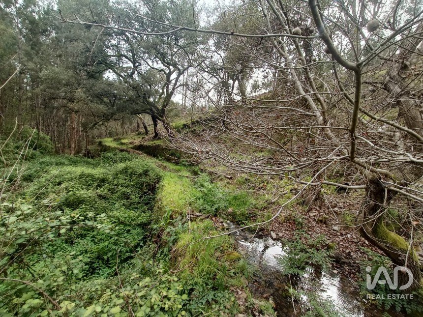 Land in Graça of 4,580 m²
