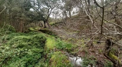 Terrain à Graça de 4 580 m²