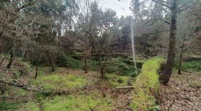 Terrain à Graça de 4 580 m²