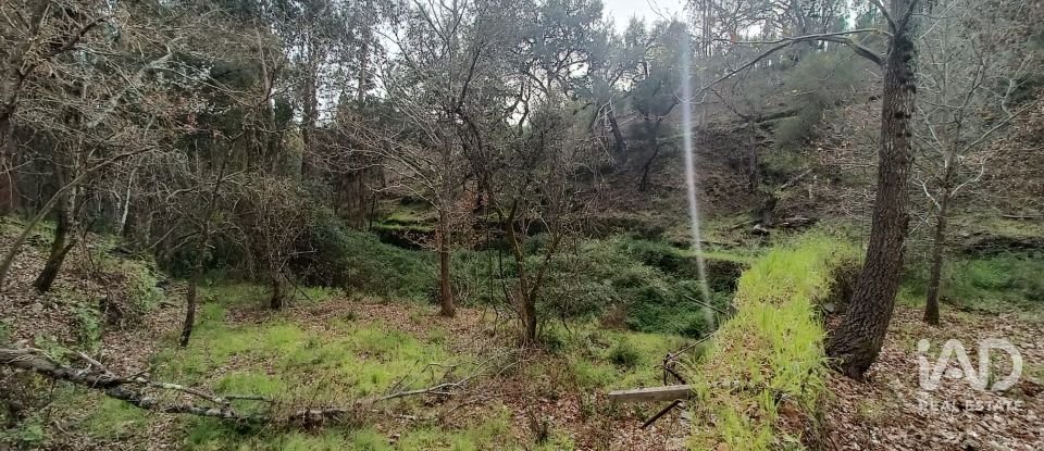 Land in Graça of 4,580 m²