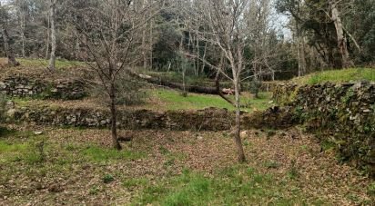 Terrain à Graça de 4 580 m²