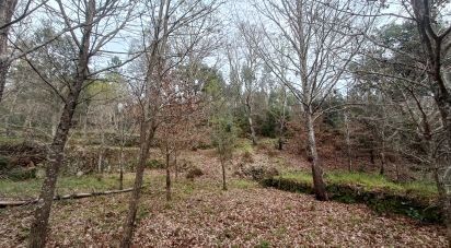 Terrain à Graça de 4 580 m²