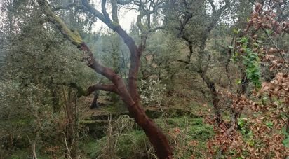 Terrain à Graça de 4 580 m²