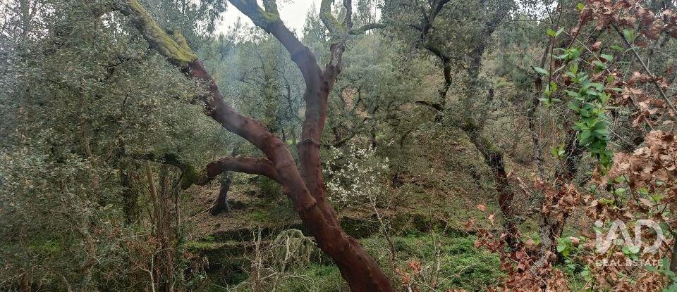 Land in Graça of 4,580 m²