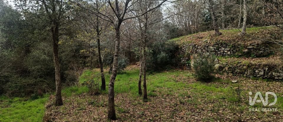 Land in Graça of 4,580 m²