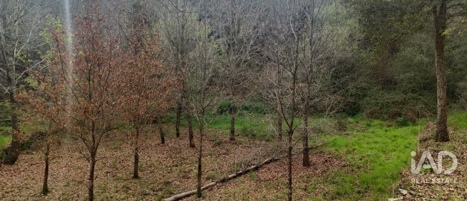 Land in Graça of 4,580 m²