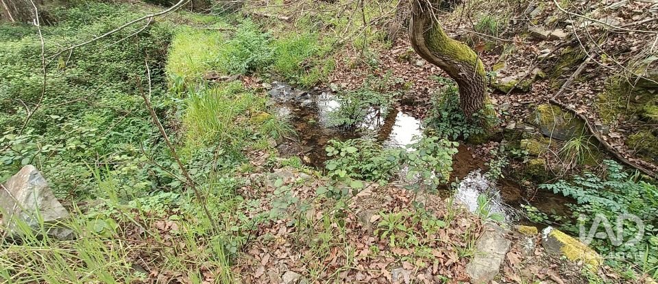 Land in Graça of 4,580 m²