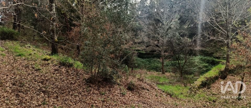 Land in Graça of 4,580 m²