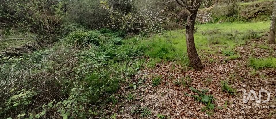 Land in Graça of 4,580 m²