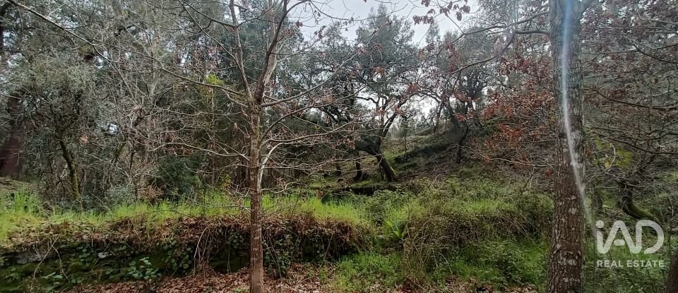 Land in Graça of 4,580 m²