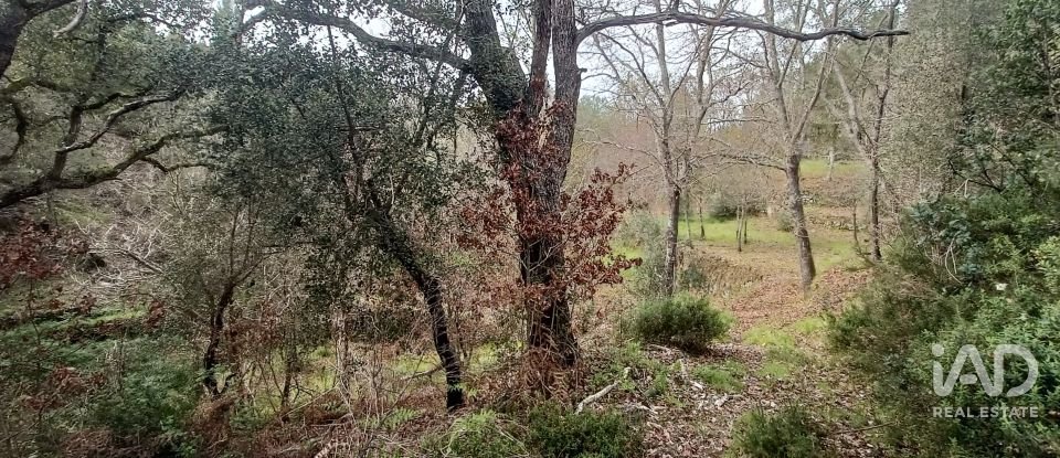 Land in Graça of 4,580 m²