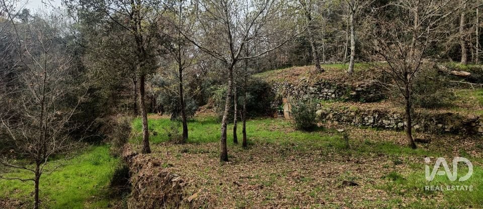 Land in Graça of 4,580 m²