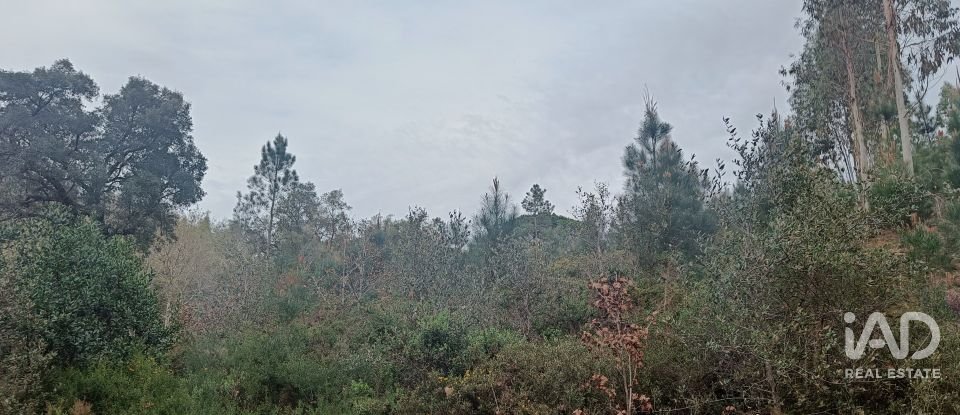 Land in Graça of 4,580 m²