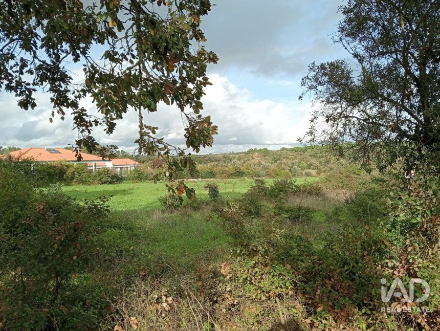 Terreno em Almoster de 20 000 m²