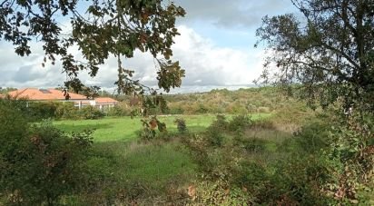 Terrain à Almoster de 20 000 m²