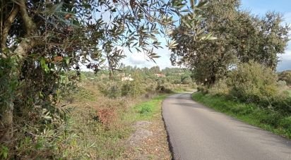 Terrain à Almoster de 20 000 m²