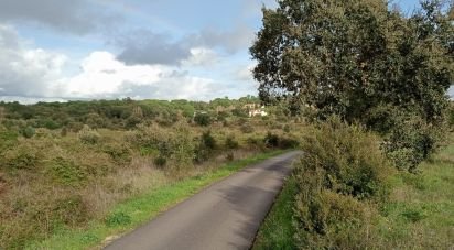 Terrain à Almoster de 20 000 m²