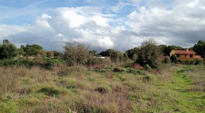 Terrain à Almoster de 20 000 m²