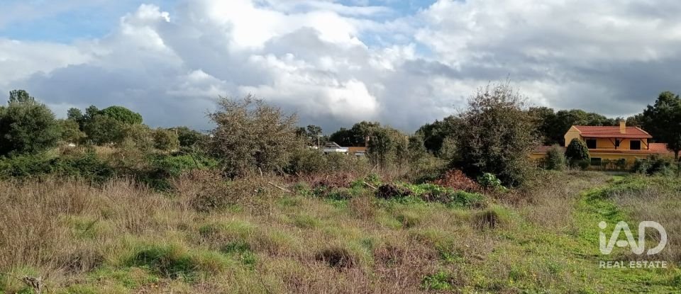 Terreno em Almoster de 20 000 m²