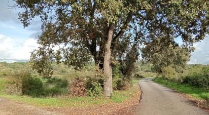 Terrain à Almoster de 20 000 m²