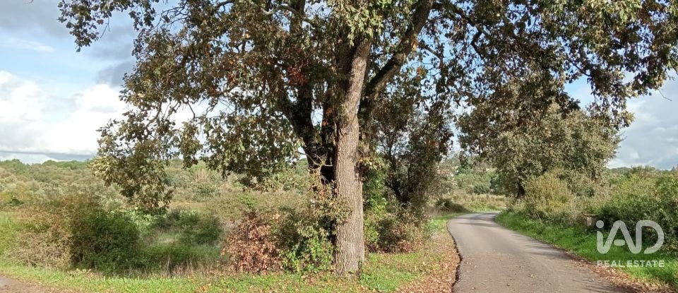 Terreno em Almoster de 20 000 m²