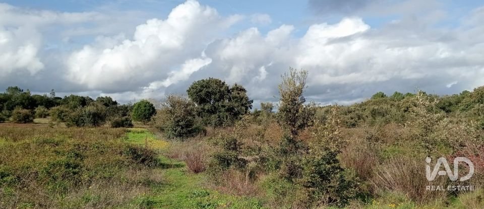 Terreno em Almoster de 20 000 m²