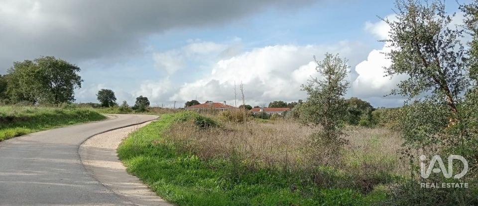 Terreno em Almoster de 20 000 m²