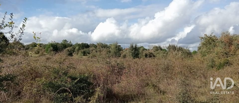 Terreno em Almoster de 20 000 m²