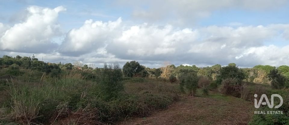 Terreno em Almoster de 20 000 m²