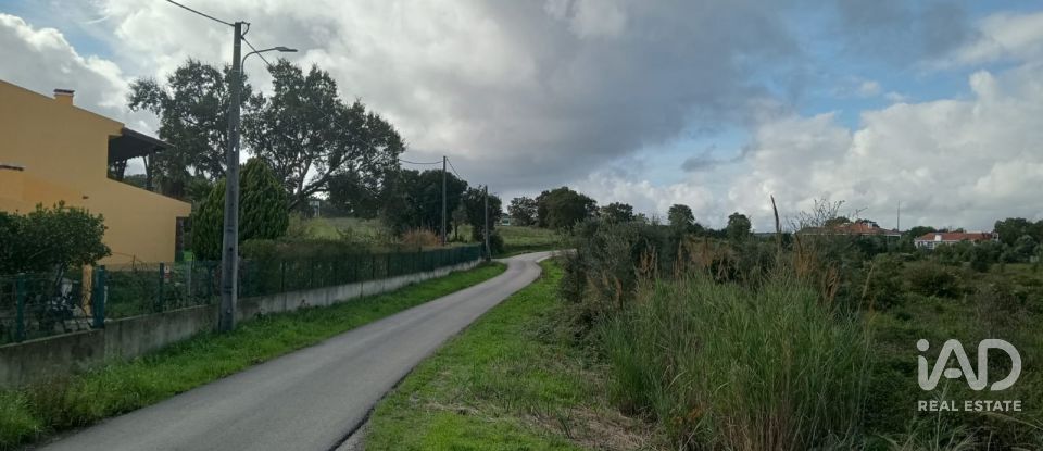 Terreno em Almoster de 20 000 m²