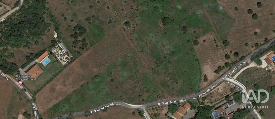 Terreno em Almoster de 20 000 m²