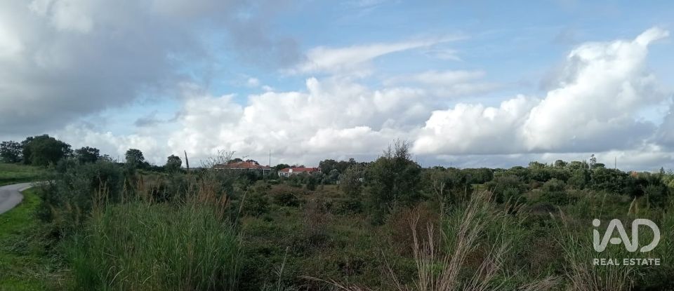 Terreno em Almoster de 20 000 m²