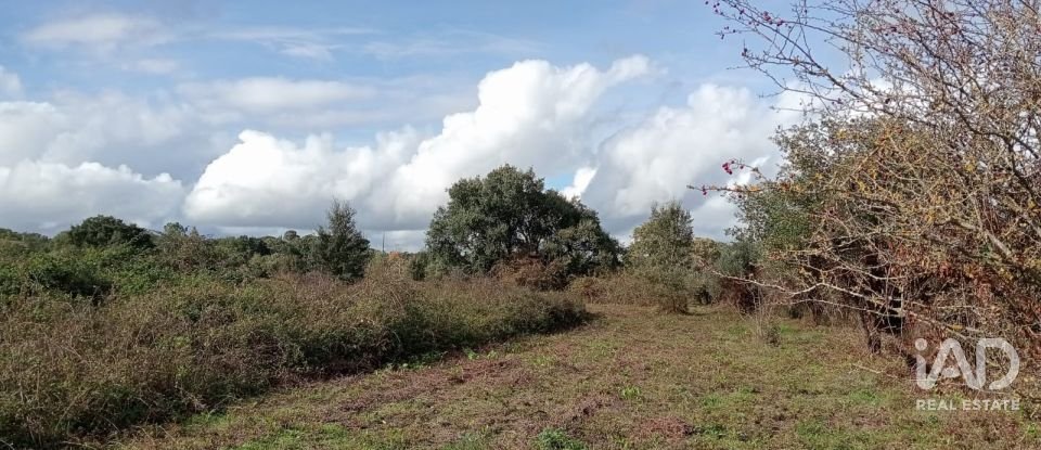 Terreno em Almoster de 20 000 m²