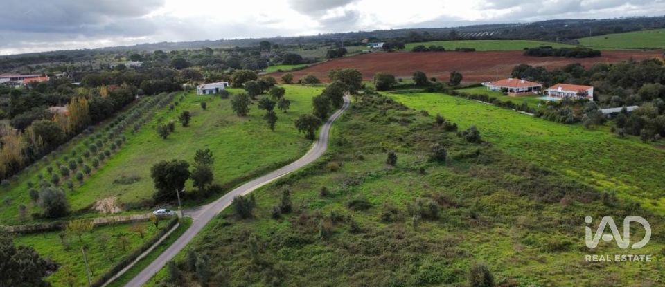 Terreno em Almoster de 20 000 m²