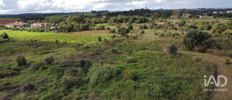 Terreno em Almoster de 20 000 m²