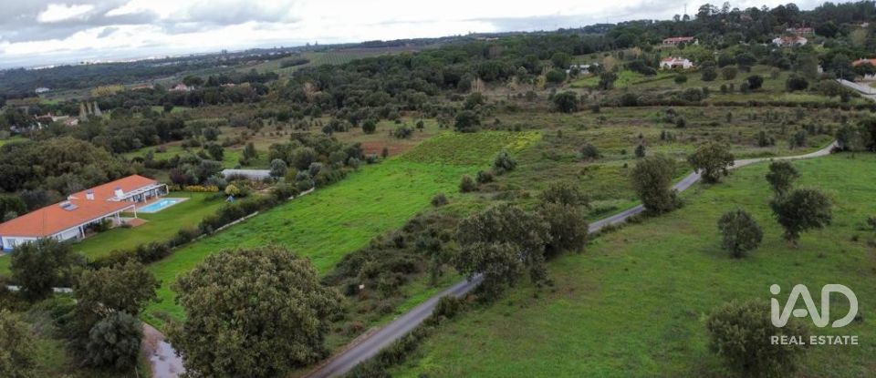 Terreno em Almoster de 20 000 m²