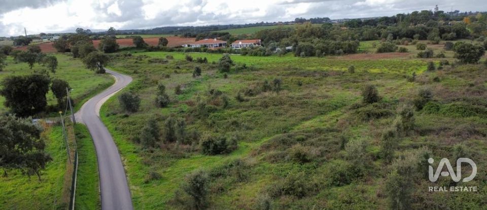 Terreno em Almoster de 20 000 m²